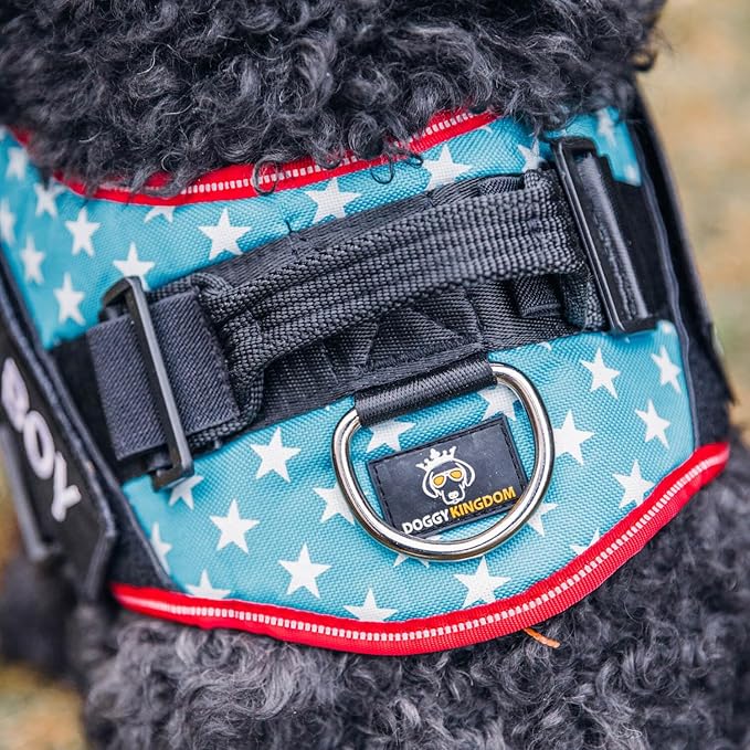 Personalized No-Pull Dog Harness with Name Patch, Adjustable, Reflective, Padded, Heavy Duty Pet Vest to Prevent Tugging, Pulling, or Choking, Training and Walking, Motorsport, S