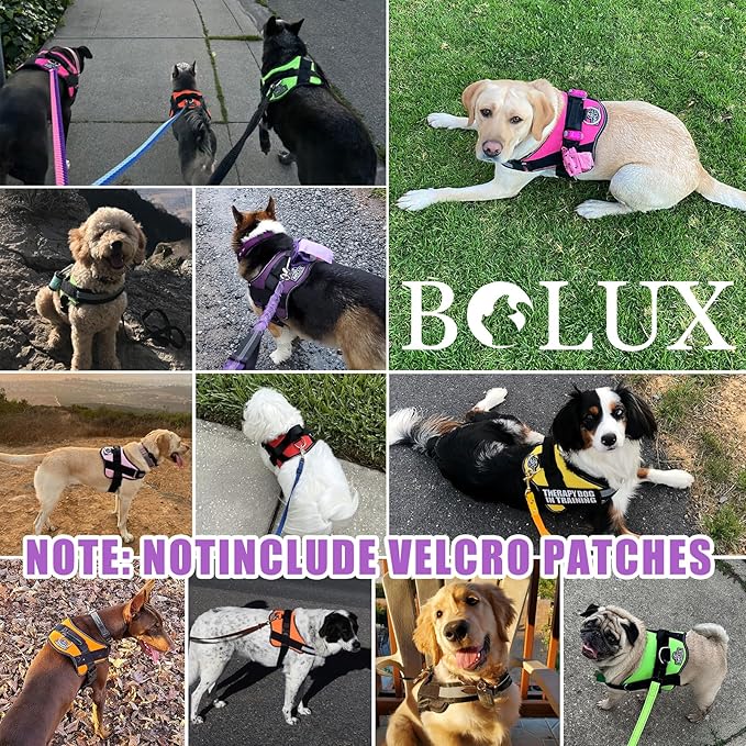 Bolux Dog Harness, No-Pull Reflective Dog Vest, Breathable Adjustable Pet Harness with Handle for Outdoor Walking - No More Pulling, Tugging or Choking (Lavender, X-Small (Pack of 1))