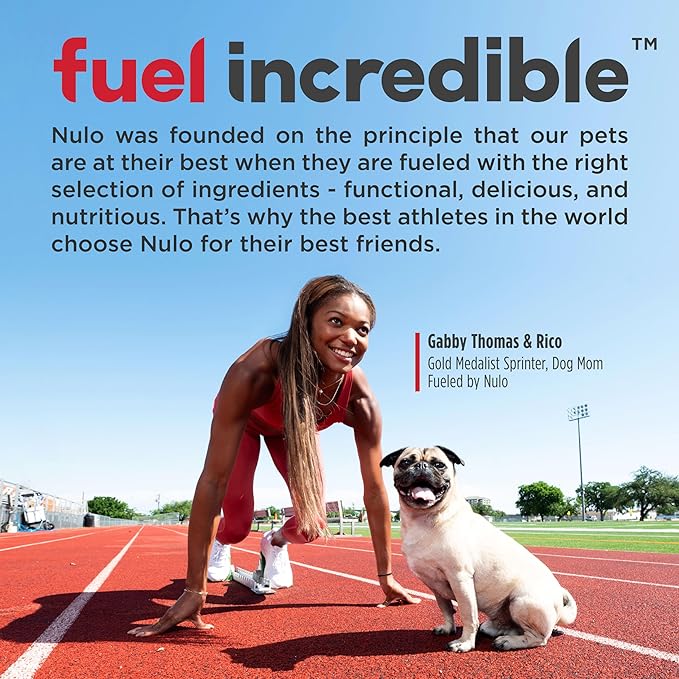 Nulo Freestyle Limited Ingredient Lamb Recipe Dry Kibble Dog & Puppy Food, 24 Pound Bag
