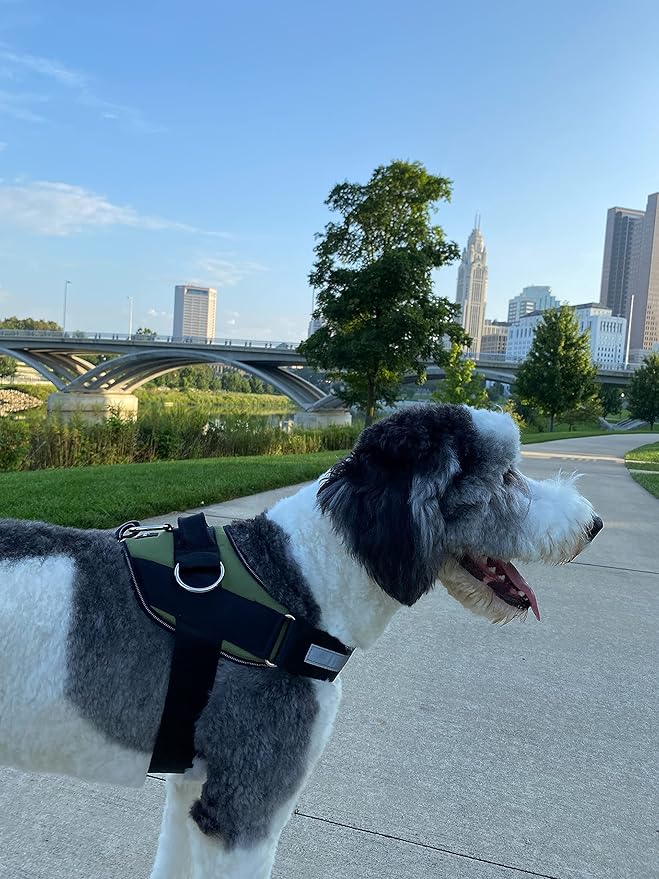 ShawnCo Essential Dog Harness, No-Pull Pet Vest with 3 Leash Clips, No Choke, Reflective, Adjustable and Padded, for Easy Walking and Training for Small, Medium and Large Dogs (Olive Green, XS)