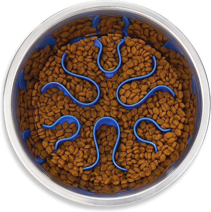 Outward Hound 2-in-1 Stainless Steel Slow Feeder Bowl, Puzzle Maze for Fast Eaters, Small to Medium Dogs, Helps Prevent Bloat & Aid Digestion, Holds 2 Cups Wet or Dry Food, Non-Slip, Made Without BPA