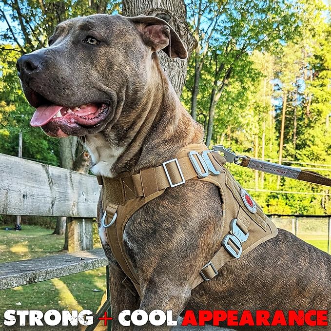 Tactical Dog Harness with 4 Metal Buckles; Waterproof, Military Grade Dog Vest; no-pulls but Does not Choke Neck; Great with Prevents Escapes, Heavy-Duty Dog Harness for Large Dogs Red (L)