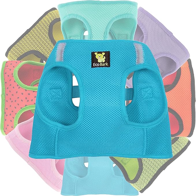 EcoBark Step in Dog Harness - Teacup Dog Harness for XXXS, XXS, XS and Small Dogs - Soft Mesh Puppy Harness - Toy Breed Mini Body Halter Vest - Reflective and Adjustable- 3XS (Baby Blue, XXXS)