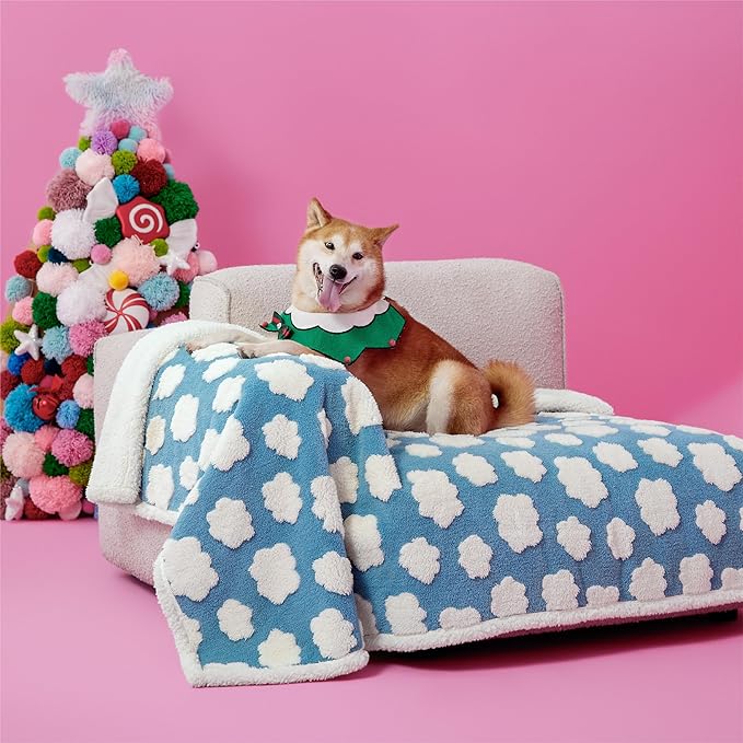 LE SURE Waterproof Dog Blanket for Large Dogs - Washable Double Sided Dog Blankets with Warm Jacquard Shag and Soft Sherpa Fleece, Pet Cat Blanket for Couch Protection, 3D Textured Cloud, Blue