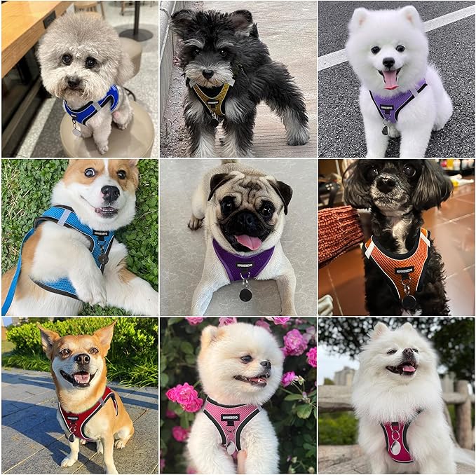 Dog Harness and Leash Set, Dog Harness for Dogs No Pull, No-Chock Step-in Reflective Breathable Lightweight Easy Walk Vest Harnesses with Safety Buckle for Small Medium Dogs, Cats (Black, S)