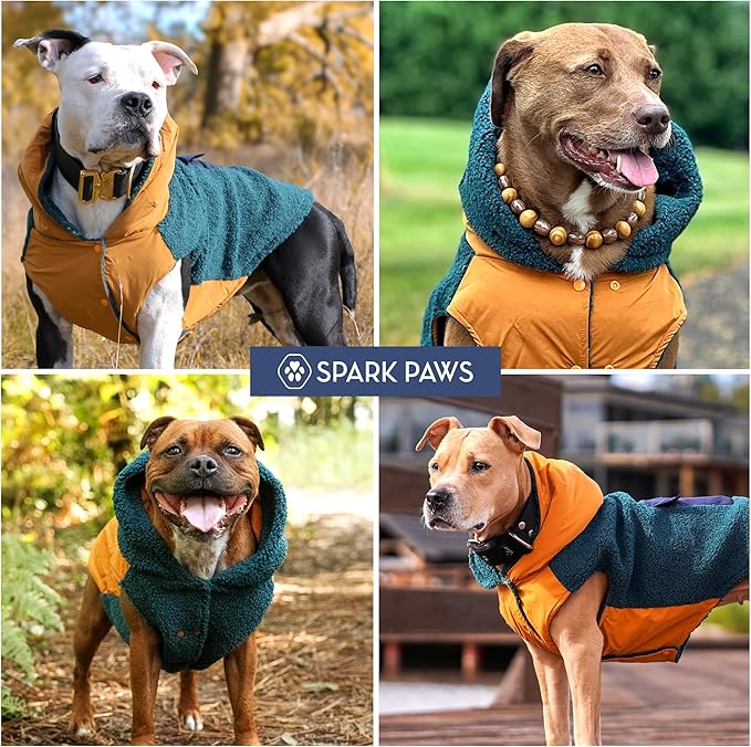 Spark Paws Reversible Dog Sweater, Sherpa Jacket Vest with Warm Fleece Lining, Warm Coat for Winter, Suitable for Small Medium, Large, XL XXL Dogs - Orange and Green - M