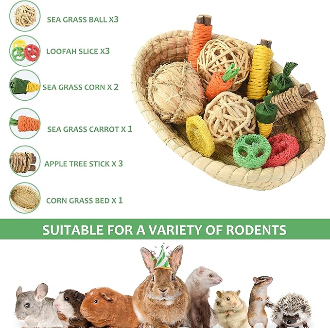 Rabbit Toys 13Pcs, Natural Hay Hamster Chew Toys for Teeth, Handmade Apple Wood Sticks Guinea Pig Bunny Toys Bunny Bed