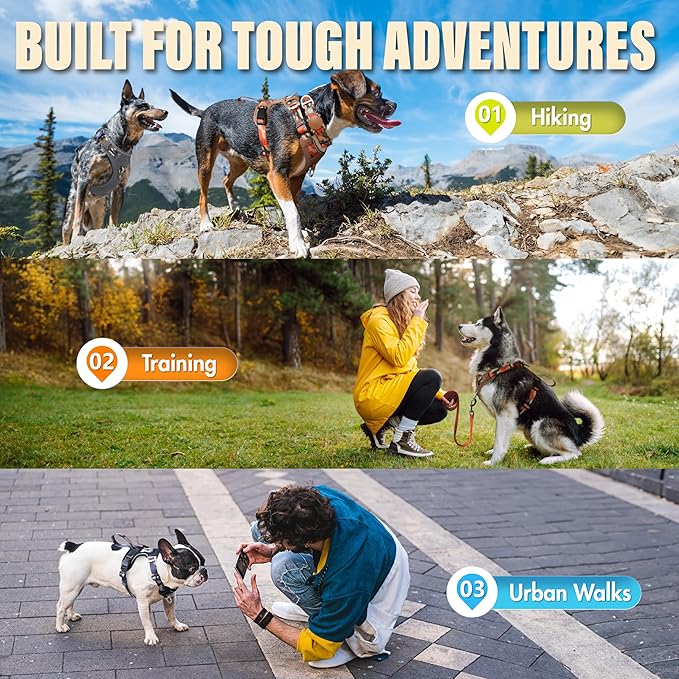 No Pull Dog Harness with Front & Back D-Rings,Water-Repellent 600D Oxford Fabric for Hiking,Training,Walking,Reflective Adjustable Vest,Lightweight Hardware Fit for Small Sized Dogs,Camo Orange XS