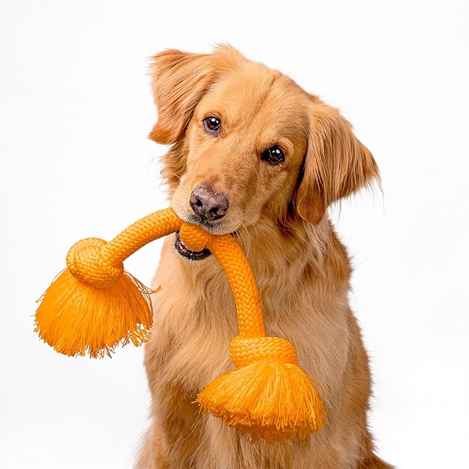 Playology Dog Toys | Dri-Tech Rope Toy Tug of War Rope for Aggressive Chewers | Jumbo Cheddar Cheese Scented Toy - Easy to Clean and Made from Non Toxic Materials