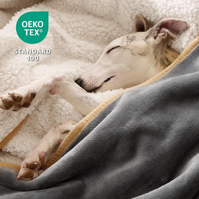 Bedsure Waterproof Dog Blankets for Small Dogs - Small Cat Blanket Washable for Couch Protection, Sherpa Fleece Puppy Blanket, Soft Plush Reversible Throw Furniture Protector, 25"X35", Grey