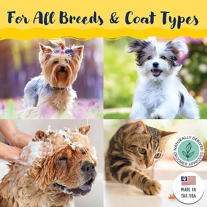 Bobbi Panter Dog Shampoo and Conditioner - Made in USA - All Natural 2-in-1 Formula for Nourish, Detangle & Reduce Shedding - Concentrated 10:1 for Professional Groomers - Pear Scent, 1 Gallon