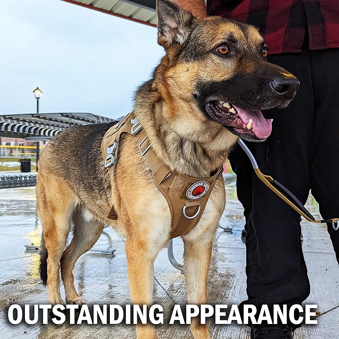 Tactical Dog Harness with 4 Metal Buckles; Waterproof, Military Grade Dog Vest; no-pulls but Does not Choke Neck; Great with Prevents Escapes, Heavy-Duty Dog Harness for Large Dogs, Blue (L)