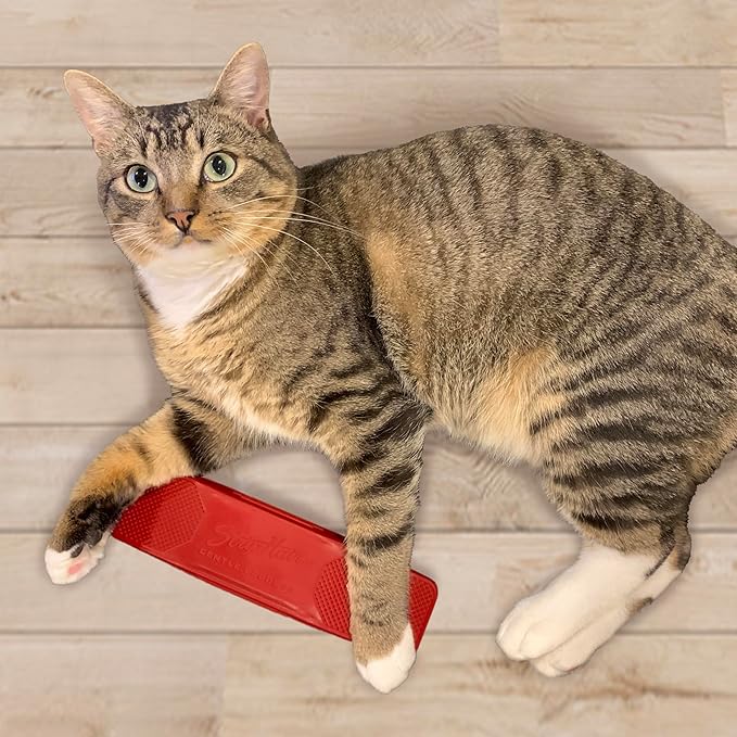 StripHair Gentle Groomer - Original for Dogs Pets 6-in-1 Shedding Grooming Massage (Soft Red)