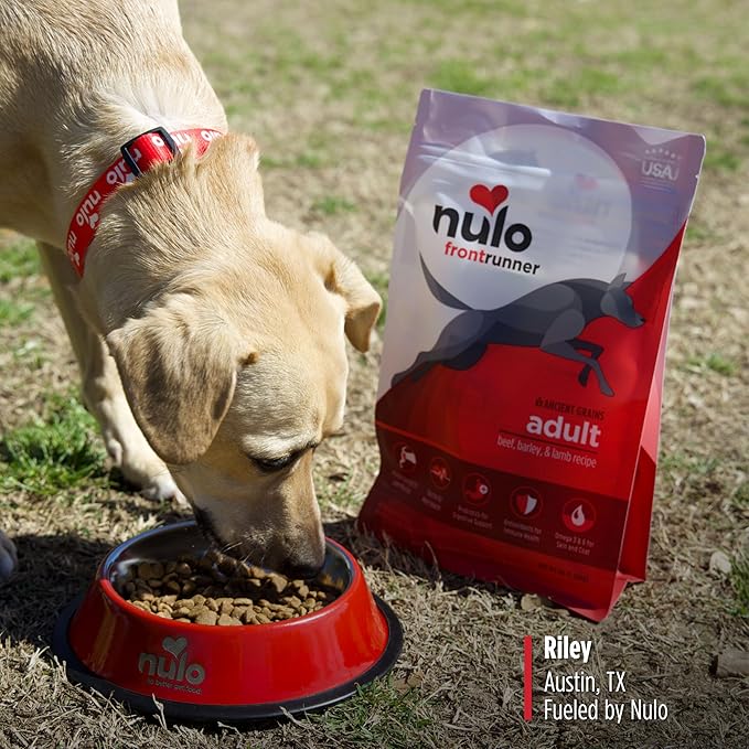 Nulo Frontrunner Ancient Grains High-Protein Dog Food, Beef, Barley, & Lamb Recipe- Natural Dry Dog Food with Probiotics, Grain-Inclusive Kibble for Adult Dogs, 25 lb Bag