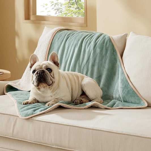 Bedsure Waterproof Dog Blankets for Medium Dogs - Medium Cat Blanket Washable for Couch Protection, Sherpa Fleece Puppy Blanket, Soft Plush Reversible Throw Furniture Protector, 30"X40", Light Green