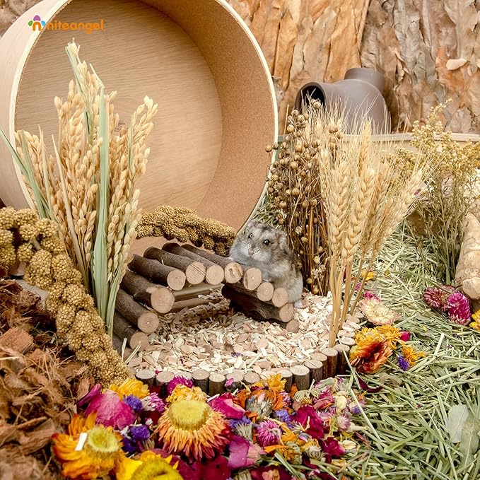 Niteangel Natural Flower & Herb Bedding Habitat Decor - for Hamsters Gerbils Mice Lemming Degus or Other Small Pets (Harvest Wind - Harvest Version)