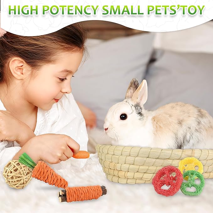 Rabbit Toys 13Pcs, Natural Hay Hamster Chew Toys for Teeth, Handmade Apple Wood Sticks Guinea Pig Bunny Toys Bunny Bed