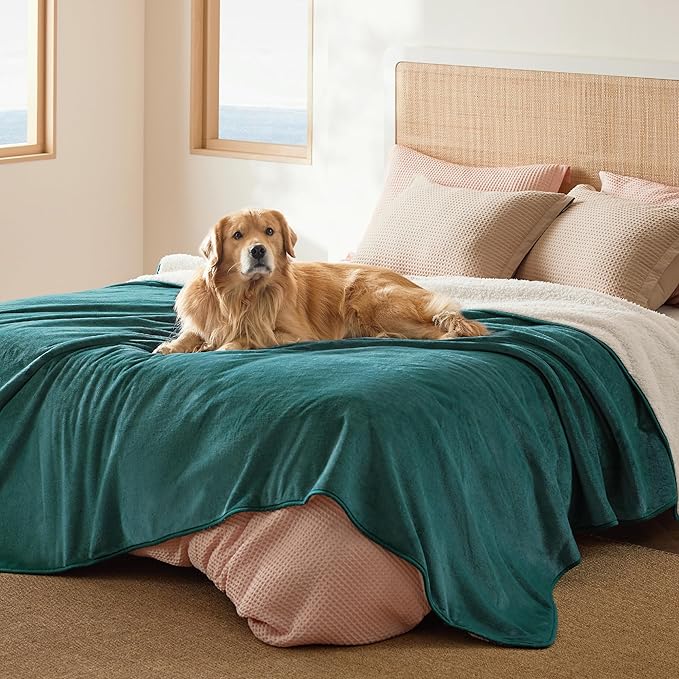 Bedsure Waterproof Blanket for Bed - Sherpa Fleece Waterproof Dog Blankets for Large Dogs, Pet Blankets for Bed/Couch/Dog Crate, Soft Plush Reversible Furniture Protector, Queen Size, 90"x86", Green