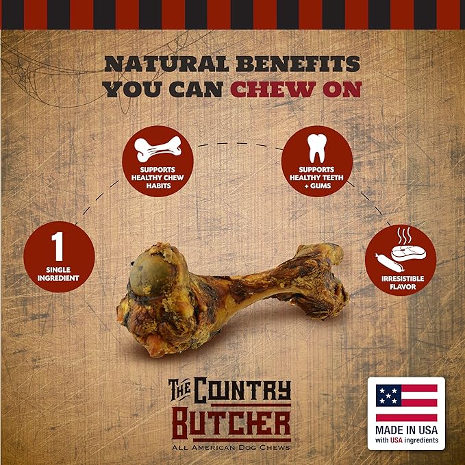 Pork Dino Dog Bone, Halloween Small Coffin Box, Gift for Dogs, 1 Count