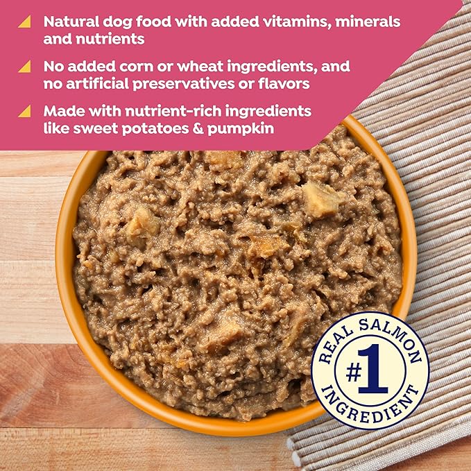Nature's Recipe Grain Free Salmon, Sweet Potato, and Pumpkin Recipe Wet Dog Food, 13 oz. Can, 12 Count