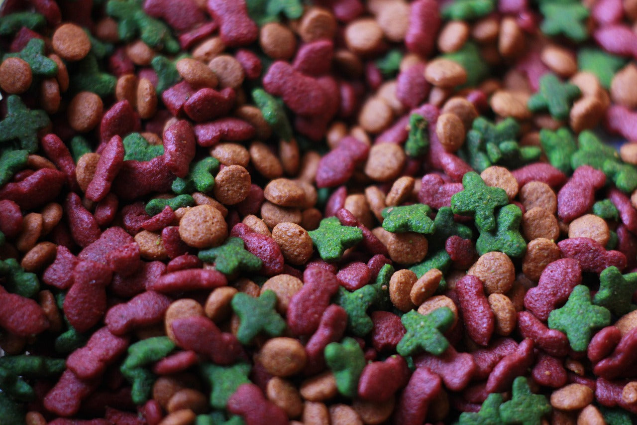 Cat Food & Treats