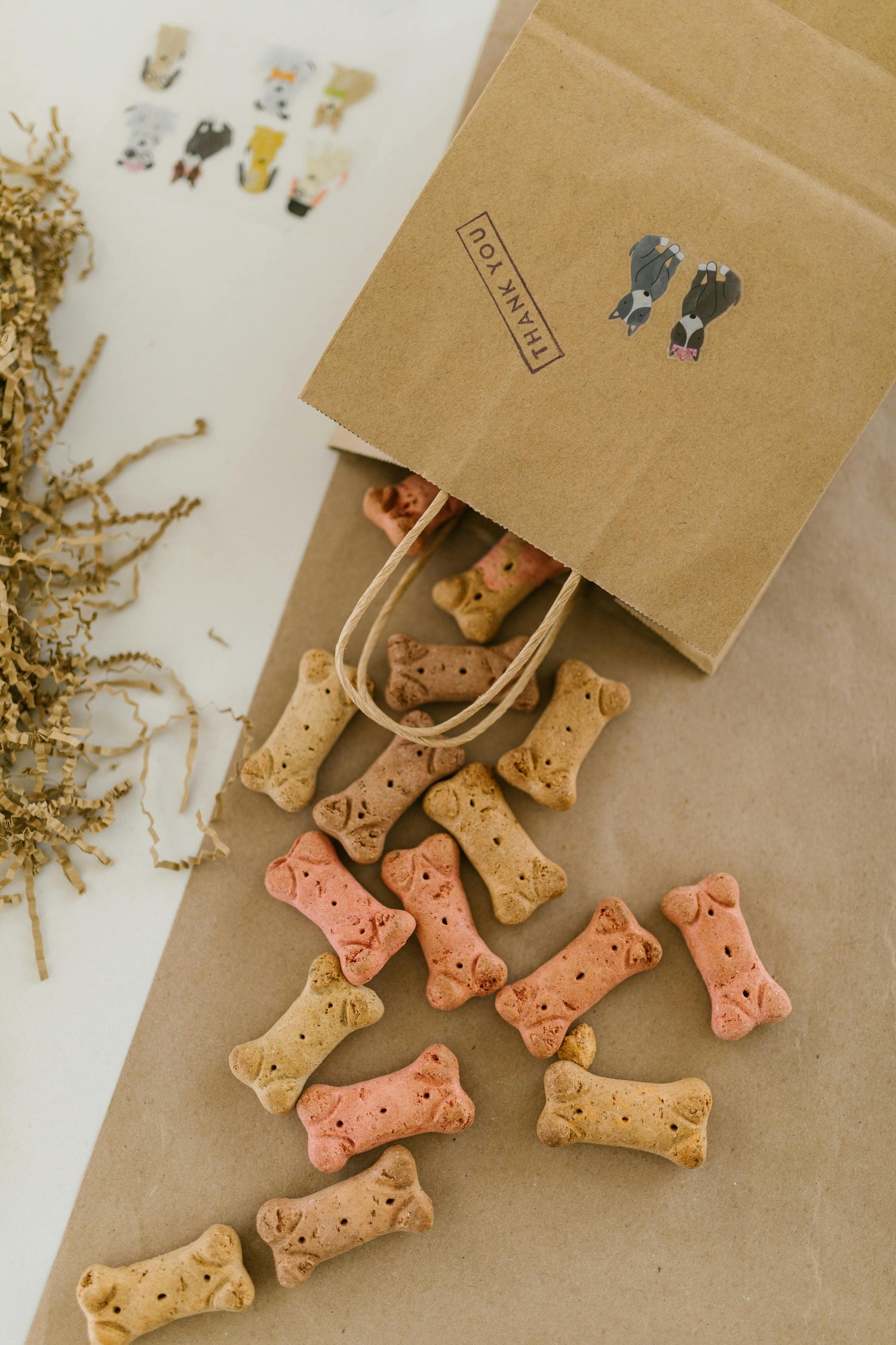 Dog Food & Treats