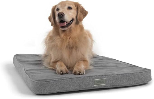 Diggs Snooz Memory Foam Dog Bed - Ideally Sized Revol Dog Crate Pad - Premium Orthopedic Pet Bed for Crate or Home - Grey, Large