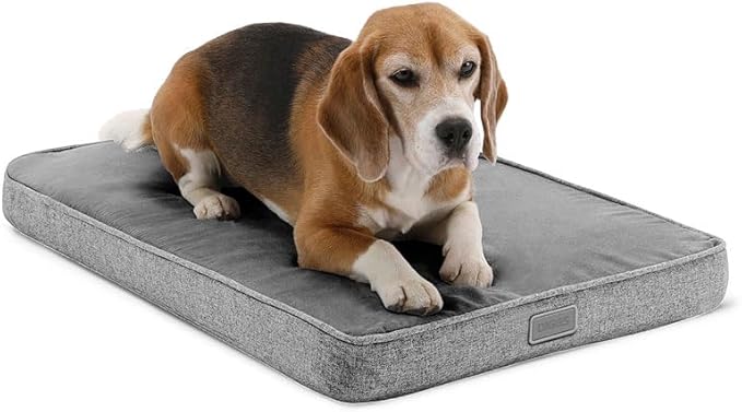 Diggs Snooz Memory Foam Dog Bed - Ideally Sized Revol Dog Crate Pad - Premium Orthopedic Pet Bed for Crate or Home - Grey, Medium