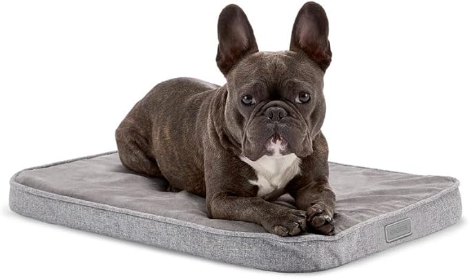 DIGGS Snooz Memory Foam Dog Bed - Ideally Sized Revol Dog Crate Pad - Premium Orthopedic Pet Bed for Crate or Home - Grey, Small
