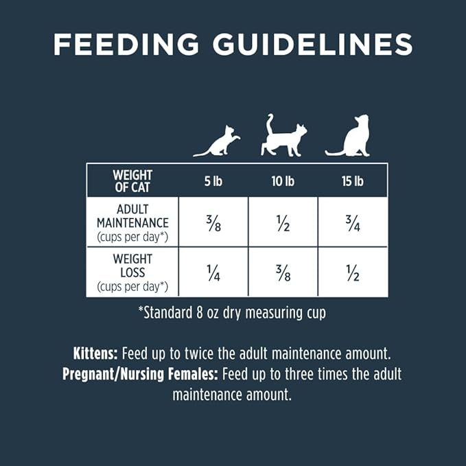 Instinct Raw Boost, Natural Dry Cat Food with Freeze Dried Pieces, High Protein, Grain Free Recipe - Real Salmon, 4.5 lb. Bag