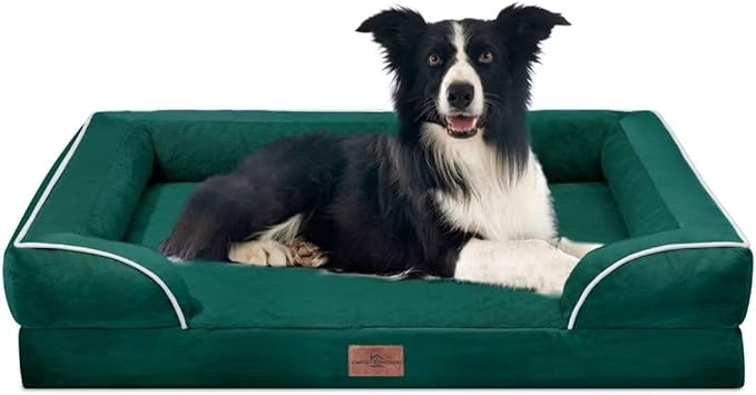 Comfort Expression Orthopedic Dog Bed for Large Dogs 36x27 Inch, Waterproof Supportive Egg Crate Foam Large Pet Bed with Removable Bolsters, Dog Couch with Washable Cover & Non-Slip Bottom, Emerald