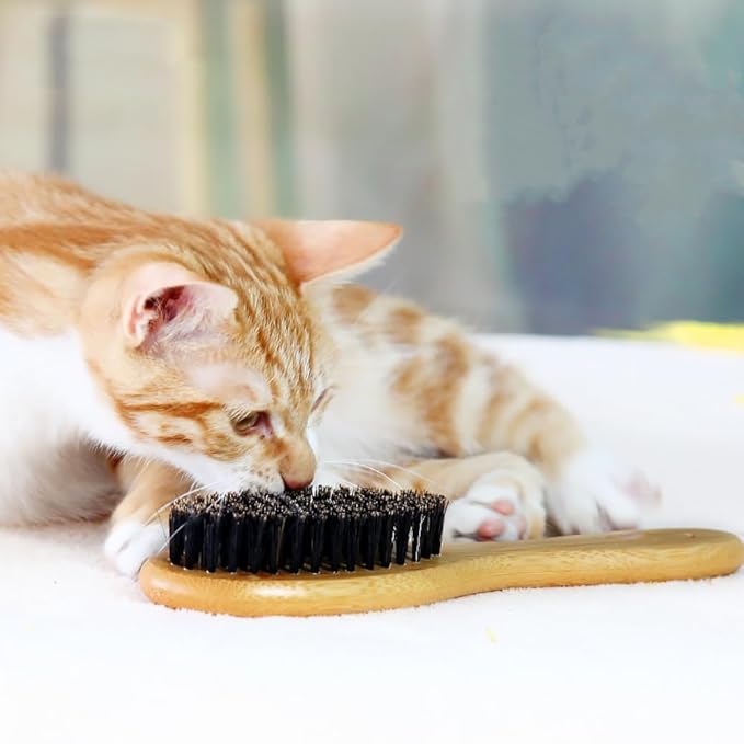 Cat & Dog Brush with Boar Bristle, Professional Grade Daily Grooming Hairbrush for Soft Hair and Healthy Shine, Short Haired Dogs Hair Brush for Reducing Shedding with Brush Cleaner