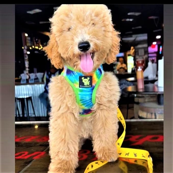 EcoBark Step in Dog Harness - Soft Mesh Dog Vest Harnesses - Reflective Adjustable No Pull and No Choke Halter - Comfort Padded Body Vest