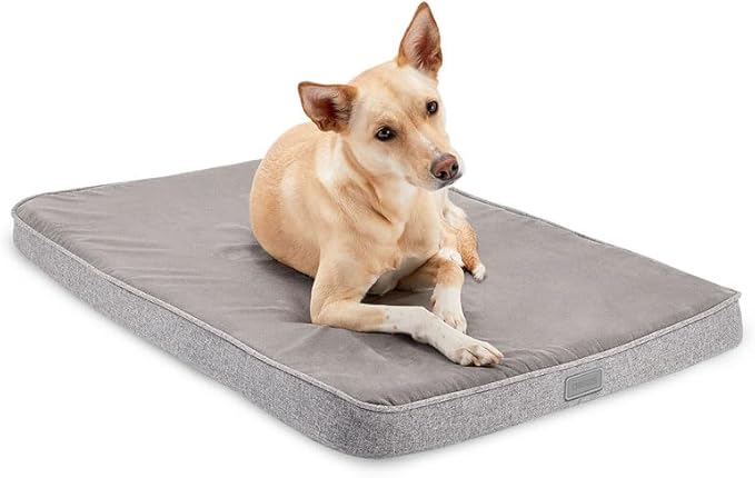 Diggs Snooz Memory Foam Dog Bed - Ideally Sized Revol Dog Crate Pad - Premium Orthopedic Pet Bed for Crate or Home - Grey, Intermediate