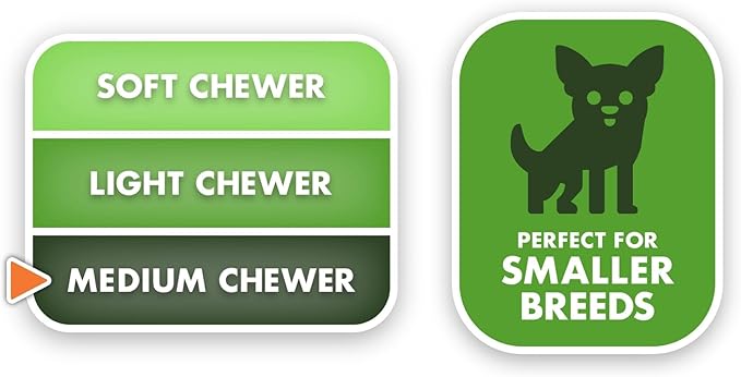 Doggijuana Tuffer Chewer Mini Plush Dog Toy | Funny Dog Toy Plush with Juananip Catnip for Dogs | Calming Aid for Dogs | Interactive Squeaky Chew Toy for Play (Bagel)