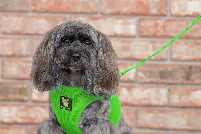 EcoBark Step in Dog Harness - Eco-Friendly Dog Harnesses for for Small & Medium Breed Dogs - Reflective and Adjustable Chest Body Halter Vest -Soft Luxurious Mesh (Green, XL)