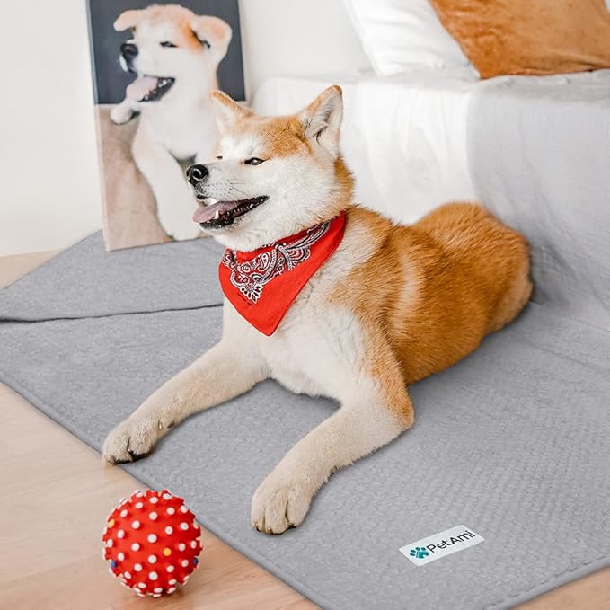 PetAmi Waterproof Dog Blanket, Leakproof Puppy Blanket for Small Medium Dogs, Furniture Sofa Couch Cover Protector, Fleece Pet Throw Indoor Cat Kitten, Reversible Washable Soft Plush, 24x32 Light Gray