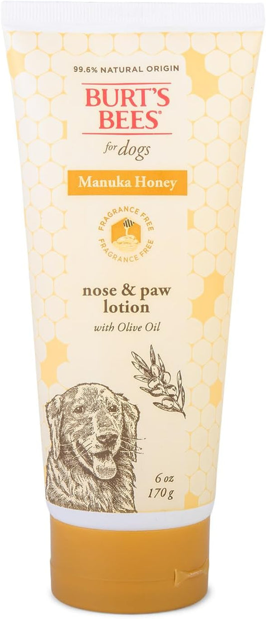BURT'S BEES FOR PETS Paw & Nose Lotion for Dogs with Manuka Honey and Olive Oil, Soothes Dry Dog Paws -Naturally Derived Ingredients, 6 Oz