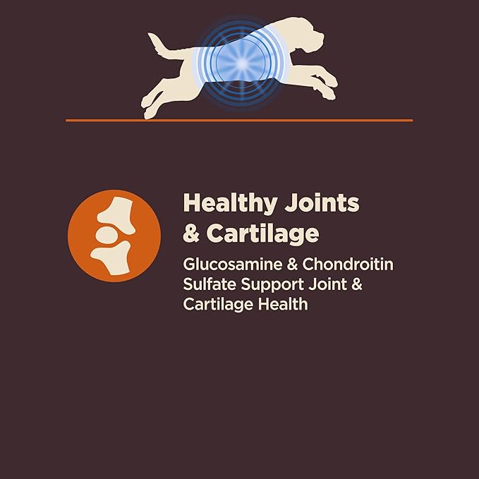 Wellness CORE Digestive Health Dry Dog Food, Large Breed, Wholesome Grains, Natural, Recipe for Dogs with Sensitive Stomachs, Chicken, (24-Pound Bag)