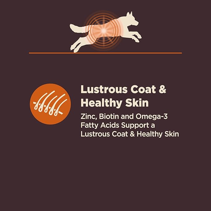 Wellness CORE Digestive Health Dry Dog Food, Wholesome Grains, Natural, Recipe for Dogs with Sensitive Stomachs, Chicken, (4-Pound Bag)