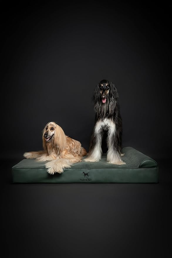 NOAH & PAW Giant Dog Bed XXL 55x45x9.5 Inch, Orthopedic Dog Beds, Eggshell Memory Foam Infused with Cooling Gel, Waterproof, Machine Washable, Includes Inner Cover (Faux Leather)