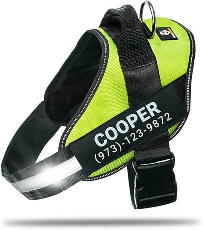 Personalized No-Pull Dog Harness with Name Patch, Adjustable, Reflective, Padded, Heavy Duty Pet Vest to Prevent Tugging, Pulling, or Choking, Training and Walking, Green, S