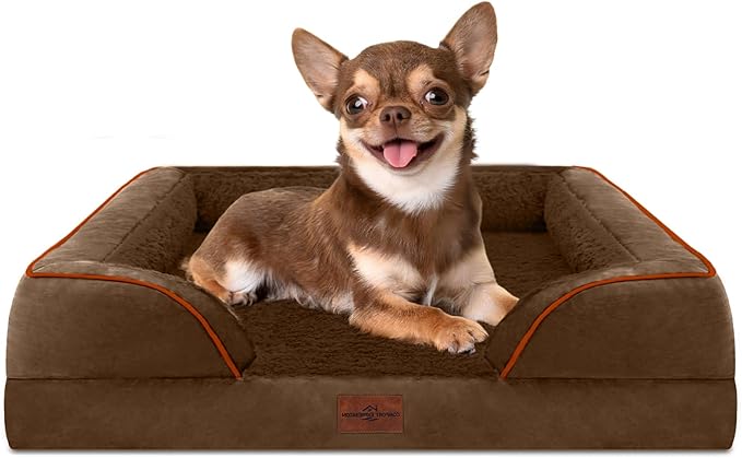Comfort Expression Orthopedic Dog Bed for Small Dogs 24x16 Inch, Waterproof Supportive Egg Crate Foam Small Pet Bed with Removable Bolsters, Dog Couch with Washable Cover & Non-Slip Bottom, Dark Brown