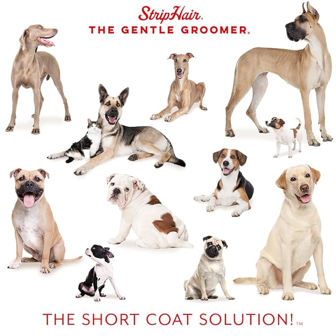 StripHair Gentle Groomer - Original for Dogs Pets 6-in-1 Shedding Grooming Massage (Soft Red)