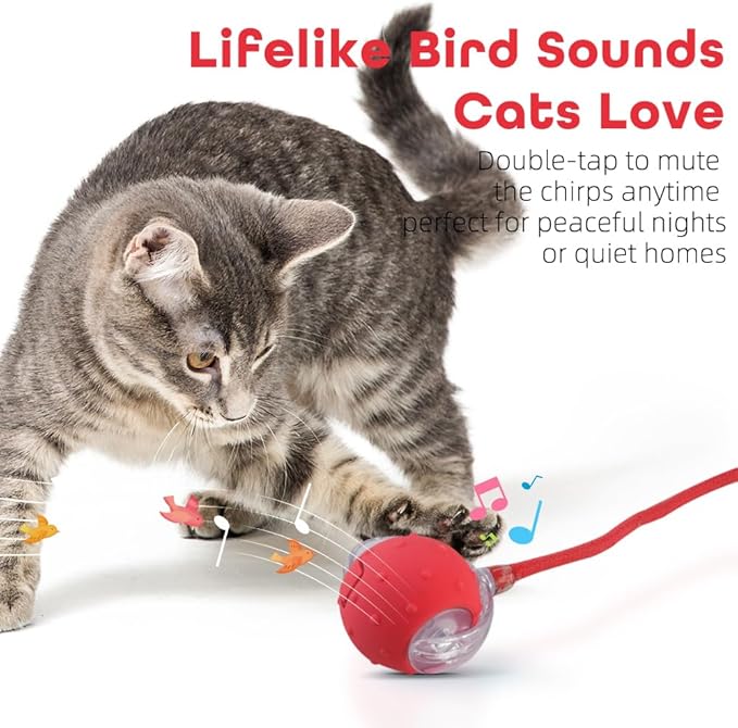 Interactive Cat Toys Ball for Indoor Cats with Elastic Mesh Net Tails – 3 Working Modes for Agile Movement, Motion Activated, USB-C Rechargeable, Ideal for Indoor Cats (Red)