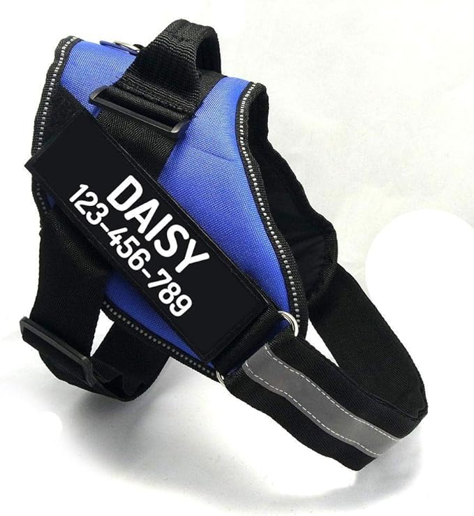 PawPawify Custom No Pull Dog Harness with Name and Phone Number, Heavy Duty Personalized Pet Vest to Prevent Tugging, Pulling, or Choking, Training and Walking (Blue, S (10-19LBS))