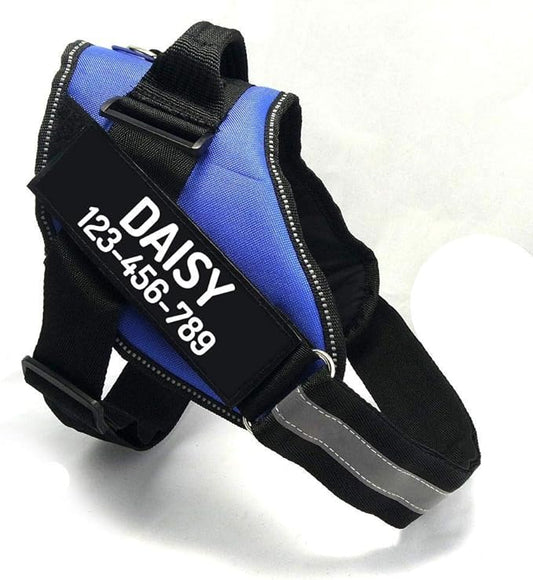 PawPawify Custom No Pull Dog Harness with Name and Phone Number, Heavy Duty Personalized Pet Vest to Prevent Tugging, Pulling, or Choking, Training and Walking (Blue, XXL (85-140 LBS))