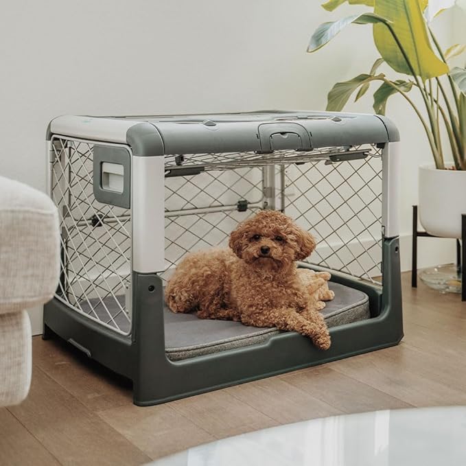 Diggs Snooz Memory Foam Dog Bed - Ideally Sized Revol Dog Crate Pad - Premium Orthopedic Pet Bed for Crate or Home - Grey, Medium