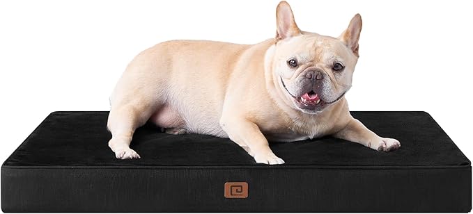 EHEYCIGA Waterproof Dog Bed Memory Foam 30x20, Orthopedic Dog Beds Mat for Medium Dogs with Removable Cover, Black