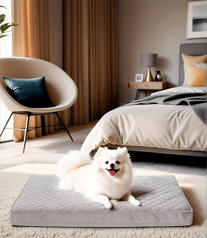 Orthopedic Dog Beds for Small Dogs Waterproof with Removable Washable Cover and Non-Slip Bottom, Quilting Dog Bed for Crate, 23x17 Inch, Light Gray